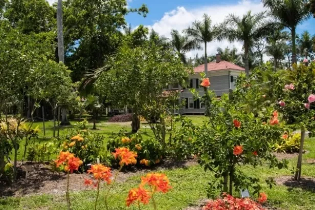 This programs gives you all the resources and background to get growing in Florida landscapes. 
